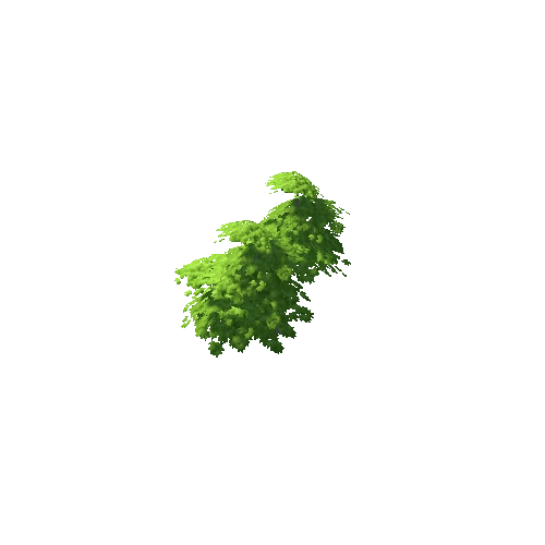 Maple Tree Green Mid 11